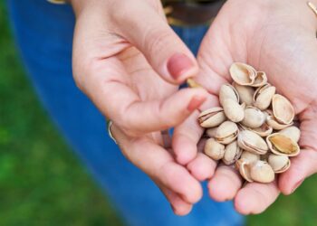 Just a handful of pistachios a day can improve your eyes, according to a new study. Image: Vuya Parker/stock.adobe.com