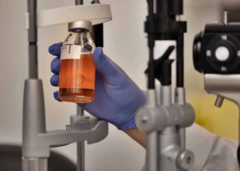 Australian bioengineered cornea