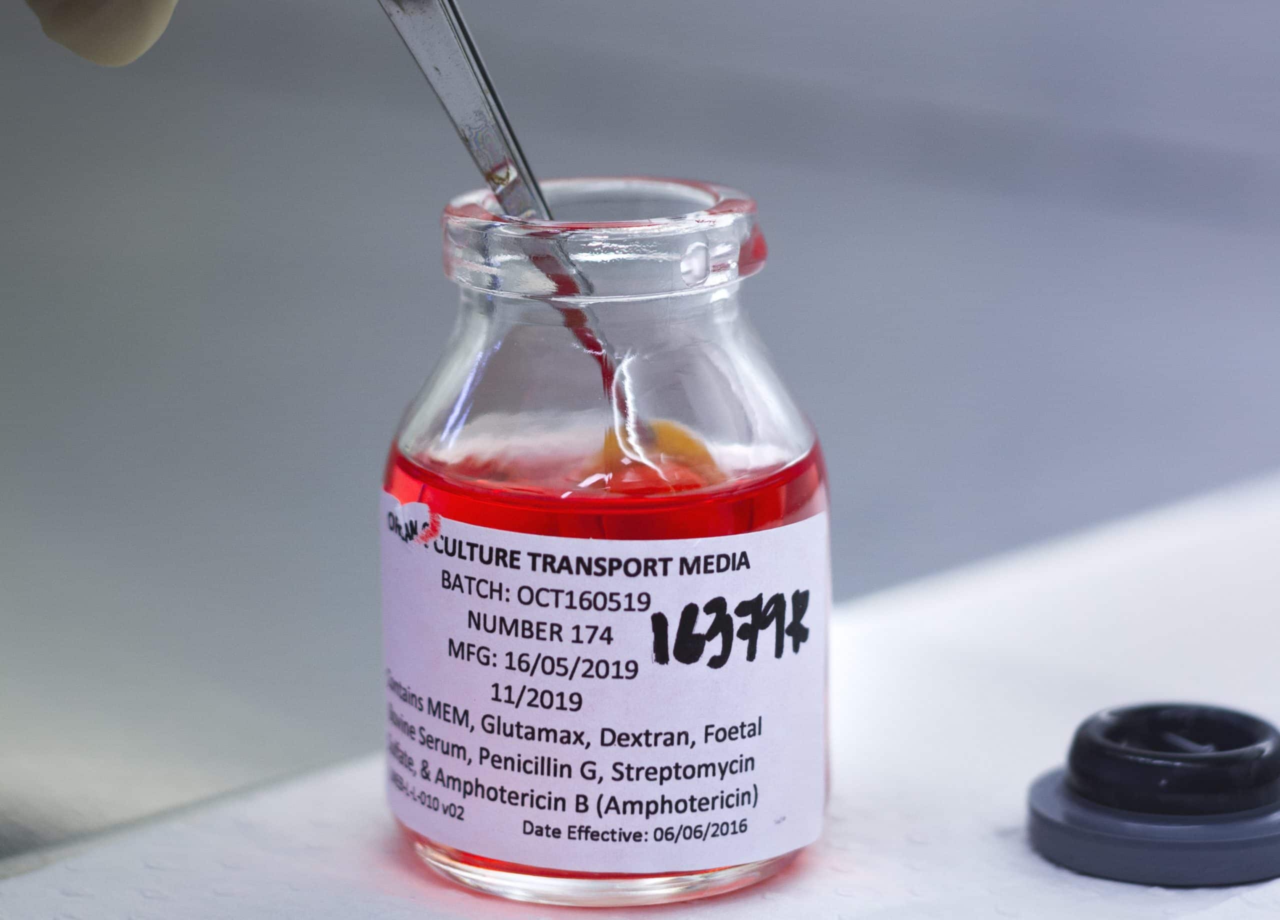 Australia driver licences organ and tissue donation