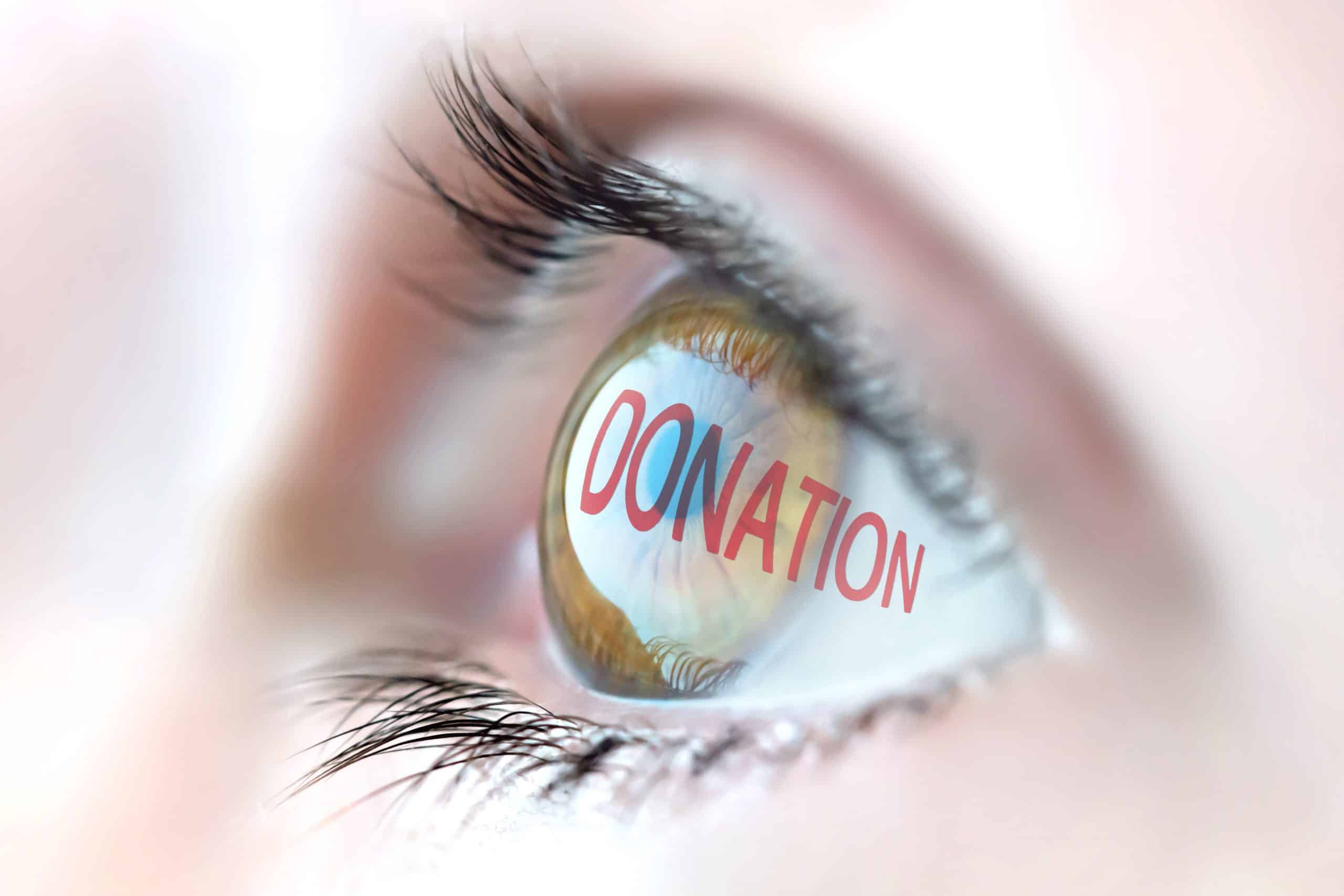 Queensland had the highest rate of eye donations last year with 419.