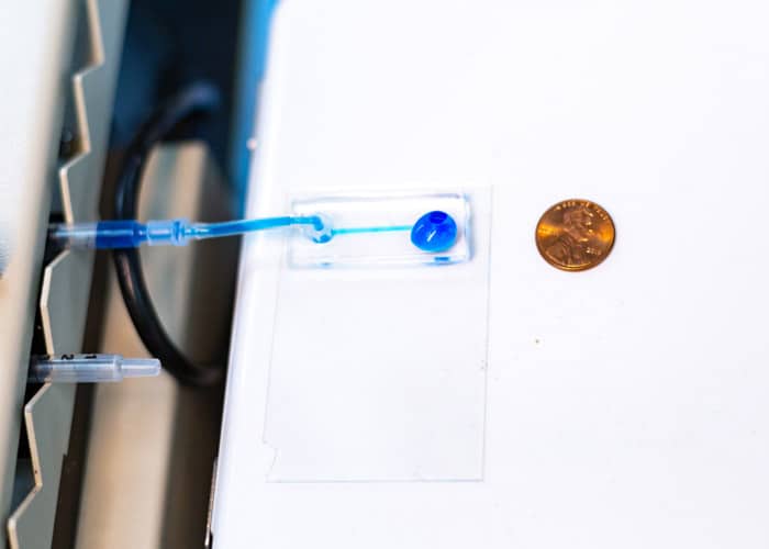 The microfluidic devices developed to fabricate the collagen. Image credit UT Dallas