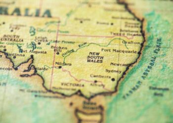 RANZCO new south wales