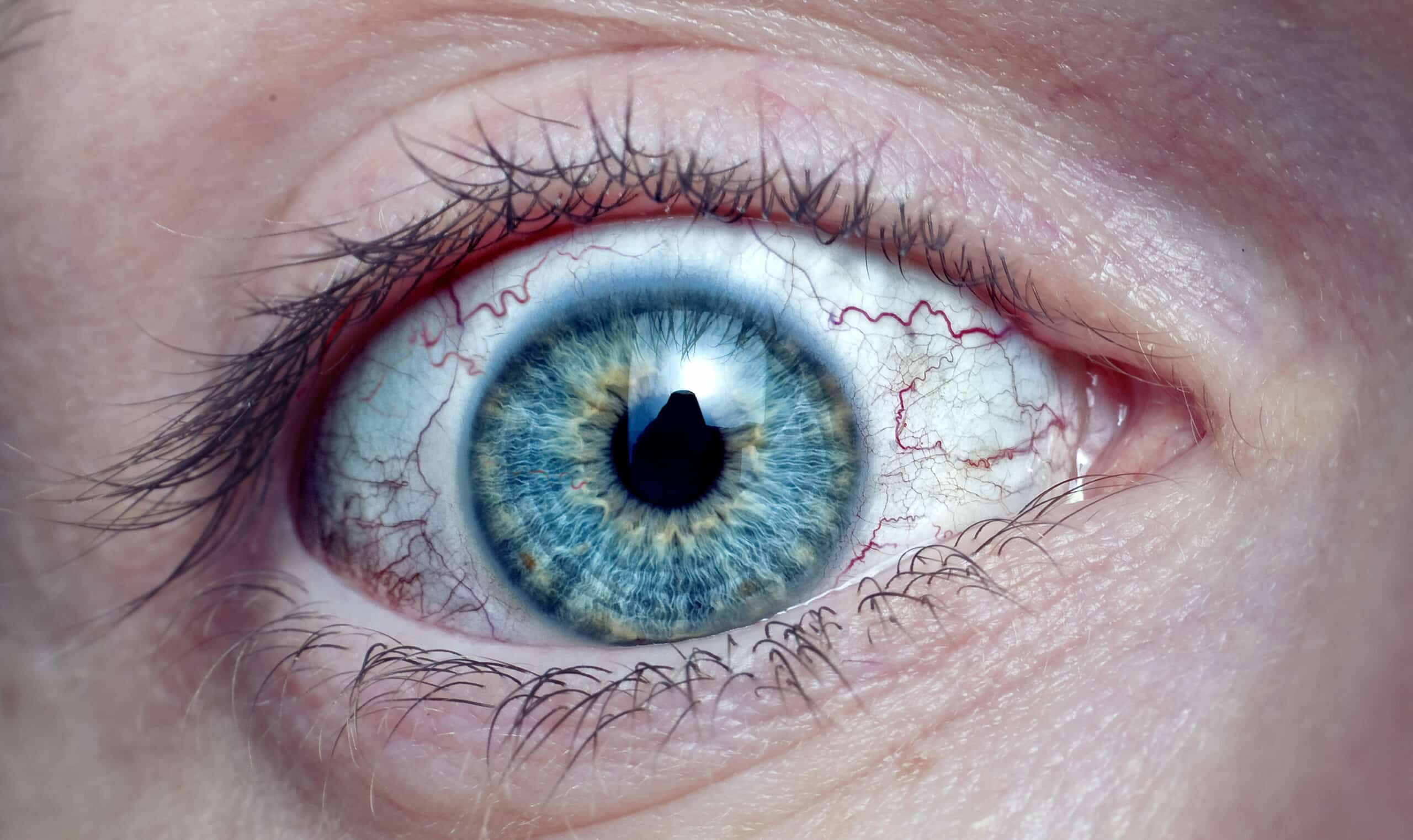 New research could help develop novel therapies for reducing the effects of vascular conditions of the retina and brain.